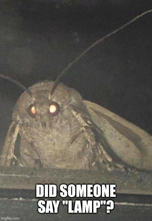 Moth | DID SOMEONE SAY "LAMP"? | image tagged in moth | made w/ Imgflip meme maker