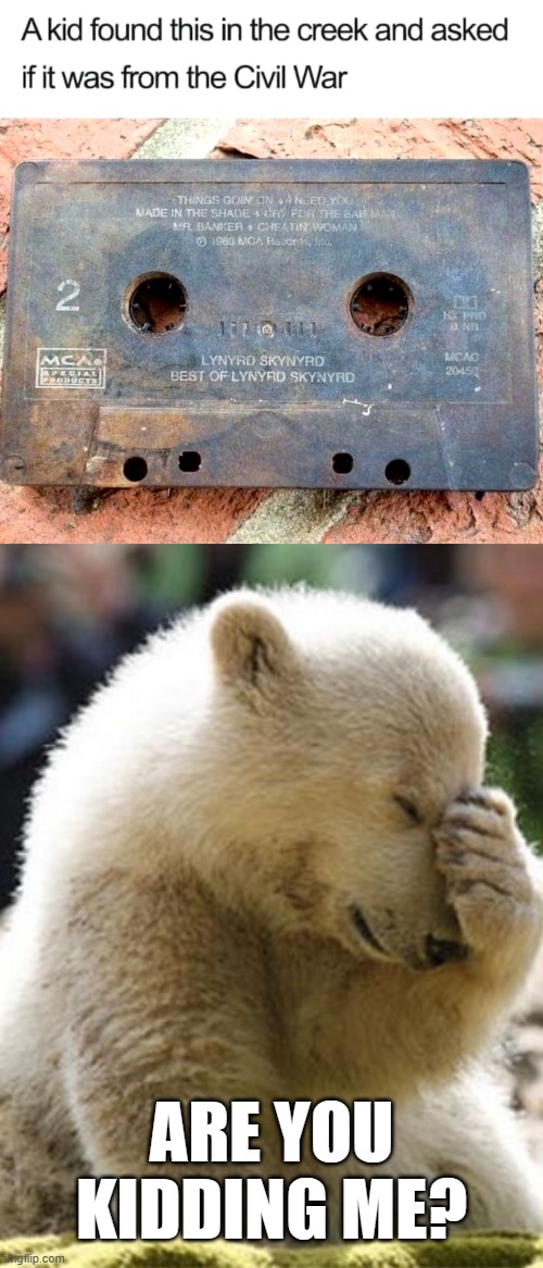 Imagine if it was though | ARE YOU KIDDING ME? | image tagged in memes,facepalm bear,cassette tape,civil war | made w/ Imgflip meme maker