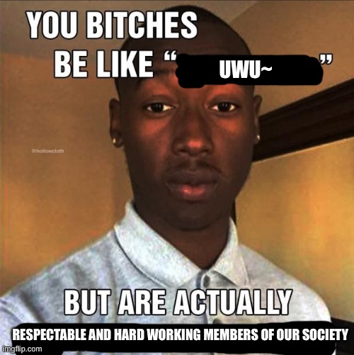. | UWU~; RESPECTABLE AND HARD WORKING MEMBERS OF OUR SOCIETY | image tagged in you bitches be like | made w/ Imgflip meme maker