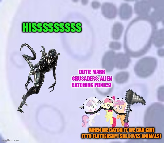 Cutie Mark Crusaders problems | HISSSSSSSSS; CUTIE MARK CRUSADERS: ALIEN CATCHING PONIES! WHEN WE CATCH IT, WE CAN GIVE IT TO FLUTTERSHY! SHE LOVES ANIMALS! | image tagged in mlp moon,cutie mark crusaders,cmc,mlp,aliens | made w/ Imgflip meme maker