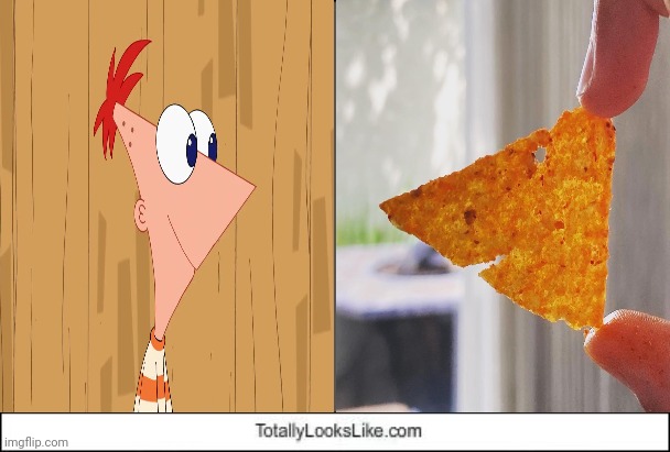 Phineas and Doritos tortilla chip | image tagged in totally looks like,phineas and ferb,phineas,memes,doritos,tortilla chip | made w/ Imgflip meme maker
