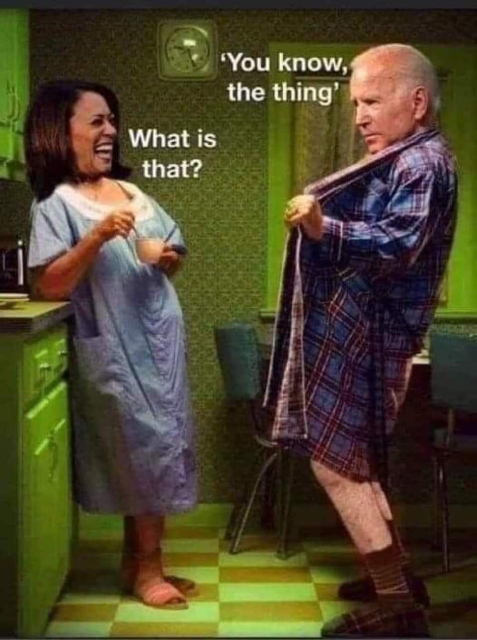 What IS that? You know, "the thing." | image tagged in you know the thing,the thing,old pervert,indecent exposure,hidin from biden,little girl running away | made w/ Imgflip meme maker