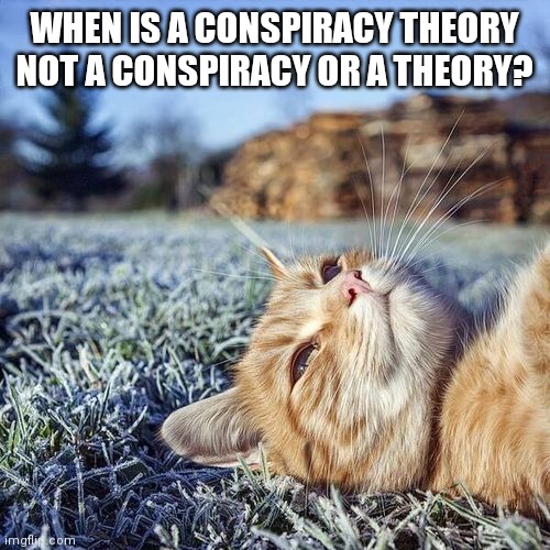 Daydreaming Cat | WHEN IS A CONSPIRACY THEORY NOT A CONSPIRACY OR A THEORY? | image tagged in daydreaming cat | made w/ Imgflip meme maker