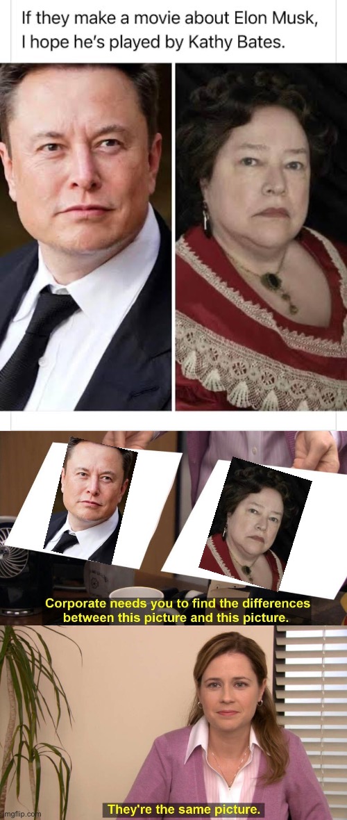 I need this | image tagged in they are the same picture,elon musk,cathy bates,netflix,documentary | made w/ Imgflip meme maker