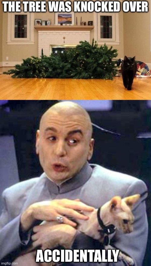Cat and tree | THE TREE WAS KNOCKED OVER; ACCIDENTALLY | image tagged in cat knocked over christmas tree,dr evil cat,accident,help i accidentally | made w/ Imgflip meme maker