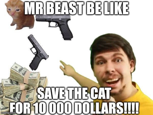 Mr beast be like | MR BEAST BE LIKE; SAVE THE CAT FOR 10 000 DOLLARS!!!! | image tagged in random,funny | made w/ Imgflip meme maker