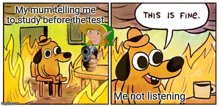 True | My mum telling me to study before the test; Me not listening | image tagged in this is fine | made w/ Imgflip meme maker