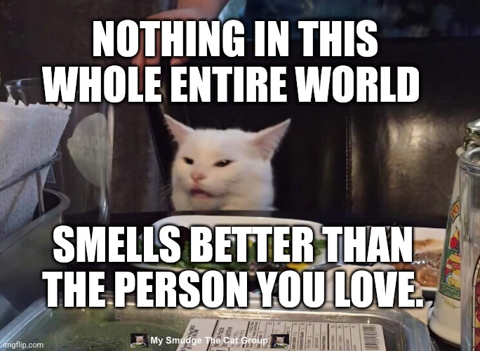 NOTHING IN THIS WHOLE ENTIRE WORLD; SMELLS BETTER THAN THE PERSON YOU LOVE. | image tagged in smudge the cat | made w/ Imgflip meme maker