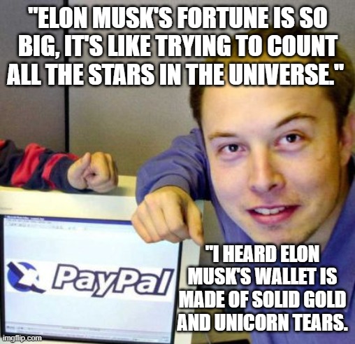 Elon Musk young | "ELON MUSK'S FORTUNE IS SO BIG, IT'S LIKE TRYING TO COUNT ALL THE STARS IN THE UNIVERSE."; "I HEARD ELON MUSK'S WALLET IS MADE OF SOLID GOLD AND UNICORN TEARS. | image tagged in elon musk young | made w/ Imgflip meme maker