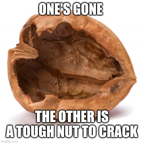 Nutshell | ONE'S GONE THE OTHER IS A TOUGH NUT TO CRACK | image tagged in nutshell | made w/ Imgflip meme maker