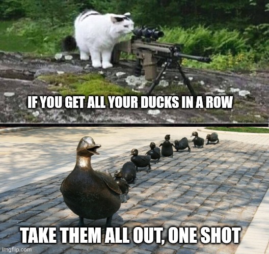 Sniper cat | IF YOU GET ALL YOUR DUCKS IN A ROW TAKE THEM ALL OUT, ONE SHOT | image tagged in sniper cat | made w/ Imgflip meme maker