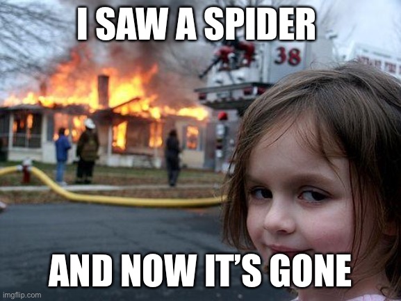 Disaster Girl | I SAW A SPIDER; AND NOW IT’S GONE | image tagged in memes,disaster girl | made w/ Imgflip meme maker