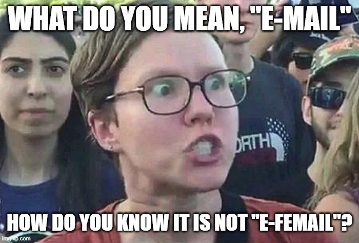 The next step in wokebecility? |  WHAT DO YOU MEAN, "E-MAIL"; HOW DO YOU KNOW IT IS NOT "E-FEMAIL"? | image tagged in triggered liberal,email,gender,gender identity,woke | made w/ Imgflip meme maker