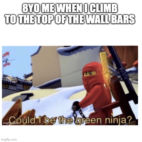 Finally uploading old memes #1 | image tagged in could i be the green ninja | made w/ Imgflip meme maker