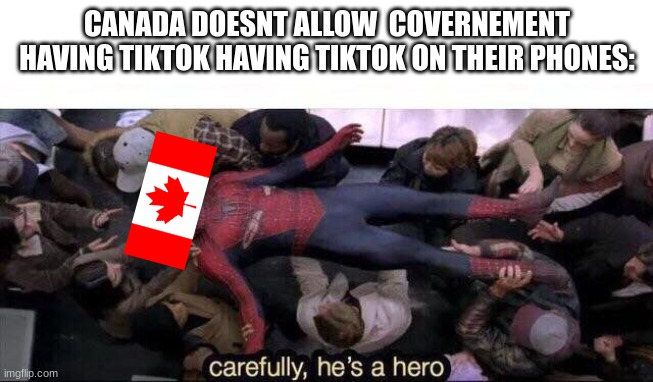 W canada | CANADA DOESNT ALLOW  COVERNEMENT HAVING TIKTOK HAVING TIKTOK ON THEIR PHONES: | image tagged in carefully he's a hero | made w/ Imgflip meme maker