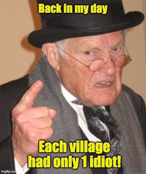 Dad joke from a grandfather | Back in my day; Each village had only 1 idiot! | image tagged in memes,back in my day | made w/ Imgflip meme maker