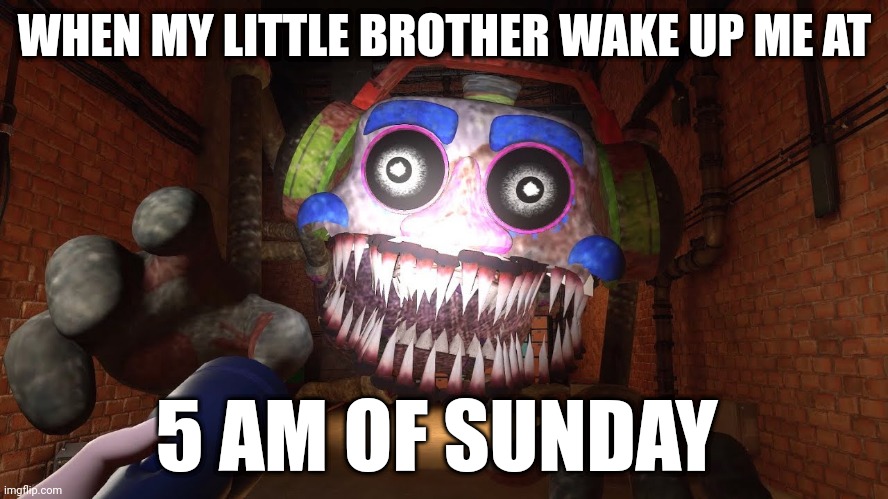 Stupid | WHEN MY LITTLE BROTHER WAKE UP ME AT; 5 AM OF SUNDAY | image tagged in little brother | made w/ Imgflip meme maker