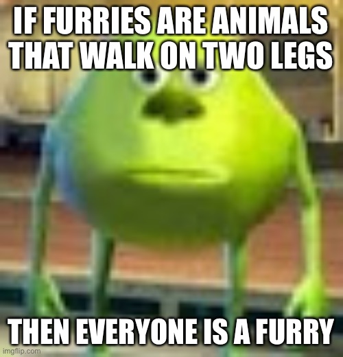 :skull: | IF FURRIES ARE ANIMALS THAT WALK ON TWO LEGS; THEN EVERYONE IS A FURRY | image tagged in sully wazowski | made w/ Imgflip meme maker