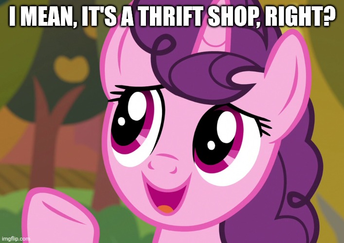 I MEAN, IT'S A THRIFT SHOP, RIGHT? | made w/ Imgflip meme maker