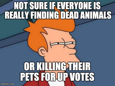 Futurama Fry | NOT SURE IF EVERYONE IS REALLY FINDING DEAD ANIMALS OR KILLING THEIR PETS FOR UP VOTES | image tagged in memes,futurama fry | made w/ Imgflip meme maker