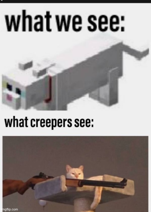 image tagged in minecraft memes,minecraft,gaming,cats,memes,funny | made w/ Imgflip meme maker