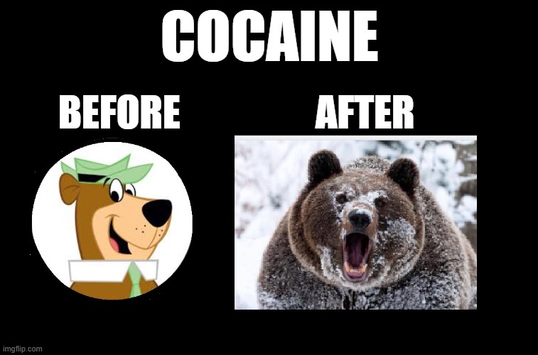 Cocaine Bear | COCAINE; BEFORE                  AFTER | image tagged in cocaine,cocaine bear | made w/ Imgflip meme maker