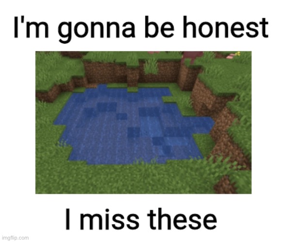 Just being honest. | image tagged in minecraft,minecraft memes,honest,memes,funny,gaming | made w/ Imgflip meme maker