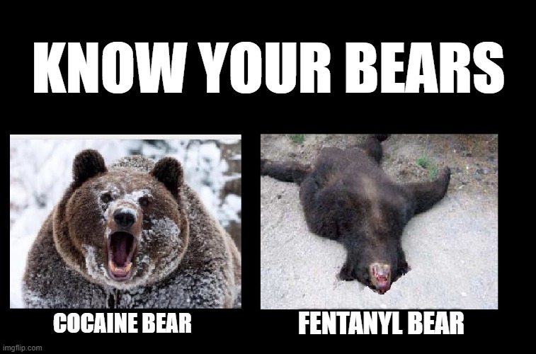 KNOW YOUR BEARS | KNOW YOUR BEARS; COCAINE BEAR; FENTANYL BEAR | image tagged in cocaine bear | made w/ Imgflip meme maker