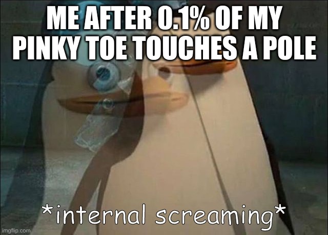 relatable | ME AFTER 0.1% OF MY PINKY TOE TOUCHES A POLE | image tagged in private internal screaming | made w/ Imgflip meme maker