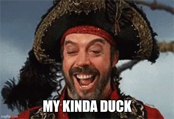 TIM CURRY PIRATE | MY KINDA DUCK | image tagged in tim curry pirate | made w/ Imgflip meme maker