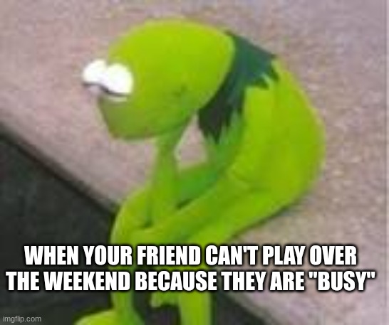 WHEN YOUR FRIEND CAN'T PLAY OVER THE WEEKEND BECAUSE THEY ARE "BUSY" | image tagged in sad kermit,dissapointment | made w/ Imgflip meme maker