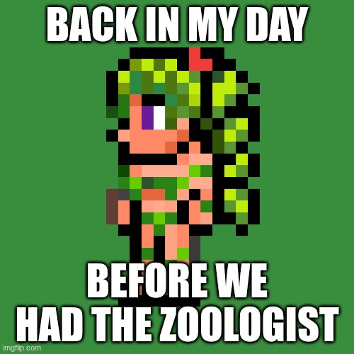 Terraria Fanart | BACK IN MY DAY; BEFORE WE HAD THE ZOOLOGIST | image tagged in terraria,fanart,funny | made w/ Imgflip meme maker