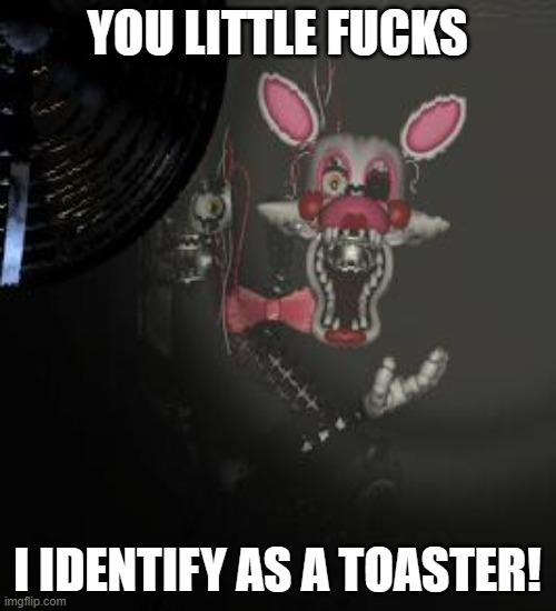 Mangle | YOU LITTLE FUCKS I IDENTIFY AS A TOASTER! | image tagged in mangle | made w/ Imgflip meme maker