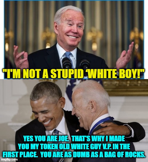 Yep . . . pretty much. | "I'M NOT A STUPID ‘WHITE BOY!"; YES YOU ARE JOE.  THAT'S WHY I MADE YOU MY TOKEN OLD WHITE GUY V.P. IN THE FIRST PLACE.  YOU ARE AS DUMB AS A BAG OF ROCKS. | image tagged in truth | made w/ Imgflip meme maker