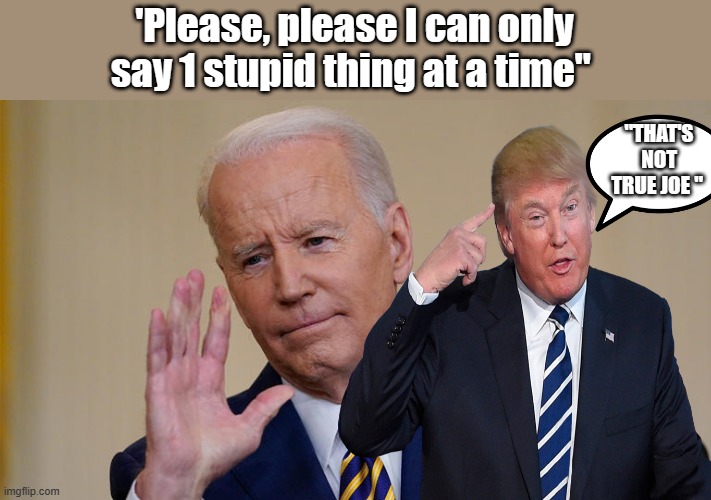 JOE has umlimited amount of Stupid to say. | 'Please, please I can only say 1 stupid thing at a time"; "THAT'S NOT TRUE JOE " | image tagged in democrats,nwo | made w/ Imgflip meme maker