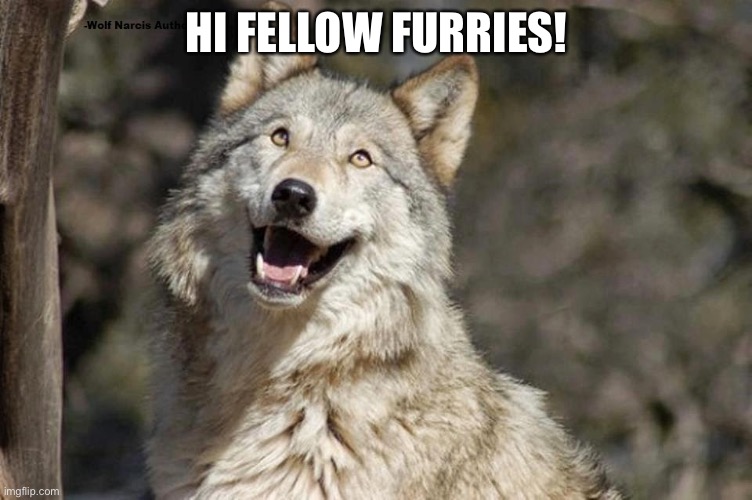 Hewwo! | HI FELLOW FURRIES! | image tagged in optimistic moon moon wolf vanadium wolf | made w/ Imgflip meme maker