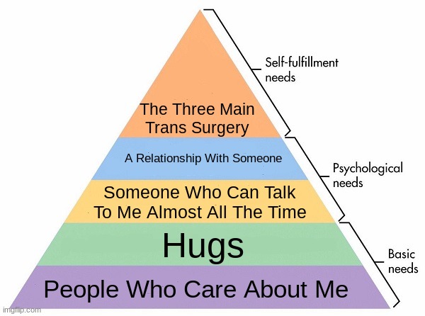 ME | The Three Main Trans Surgery; A Relationship With Someone; Someone Who Can Talk To Me Almost All The Time; Hugs; People Who Care About Me | image tagged in maslow's hierarchy of needs | made w/ Imgflip meme maker
