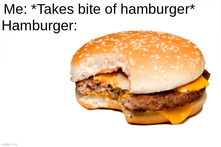 Am I wrong? | Me: *Takes bite of hamburger*; Hamburger: | image tagged in hamburger | made w/ Imgflip meme maker