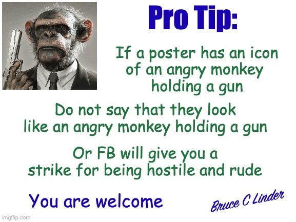 Angry Monkey with a Gun | Pro Tip:; If a poster has an icon
of an angry monkey 
holding a gun; Do not say that they look like an angry monkey holding a gun; Or FB will give you a strike for being hostile and rude; Bruce C Linder; You are welcome | image tagged in pro tip,forbidden words,angry monkey,guns,facebook | made w/ Imgflip meme maker