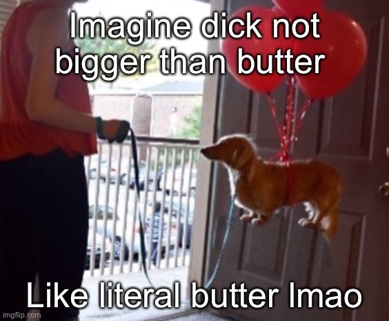 walkin me dog fr | Imagine dick not bigger than butter; Like literal butter lmao | image tagged in walkin me dog fr | made w/ Imgflip meme maker