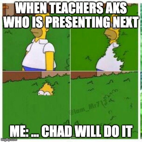 Teacher be like ? | WHEN TEACHERS AKS WHO IS PRESENTING NEXT; ME: ... CHAD WILL DO IT | image tagged in homer hides | made w/ Imgflip meme maker