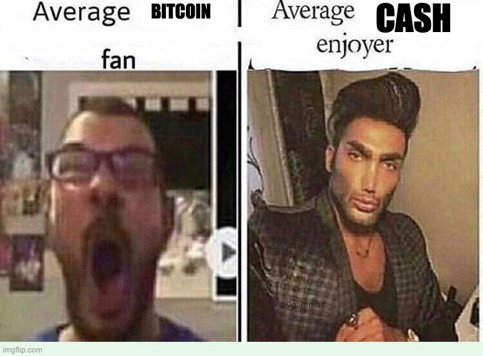 bitcoin bad | CASH; BITCOIN | image tagged in average blank fan vs average blank enjoyer | made w/ Imgflip meme maker