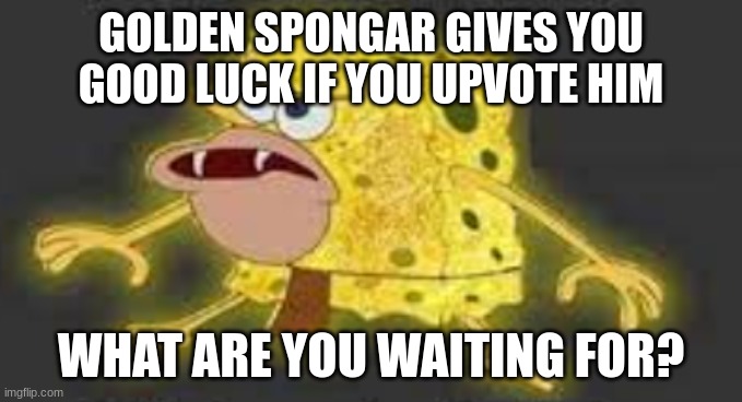 GOLDEN SPONGAR GIVES YOU GOOD LUCK IF YOU UPVOTE HIM; WHAT ARE YOU WAITING FOR? | image tagged in golden spongegar | made w/ Imgflip meme maker