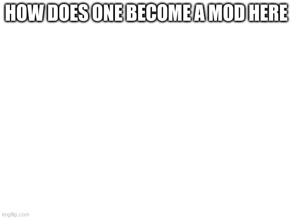 Blank White Template | HOW DOES ONE BECOME A MOD HERE | image tagged in blank white template | made w/ Imgflip meme maker