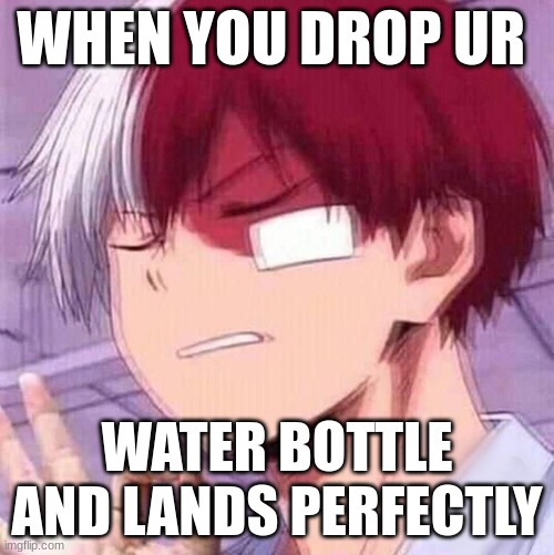 Todoroki | WHEN YOU DROP UR; WATER BOTTLE AND LANDS PERFECTLY | image tagged in todoroki | made w/ Imgflip meme maker