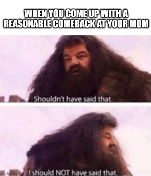 Shouldn't have said that | WHEN YOU COME UP WITH A REASONABLE COMEBACK AT YOUR MOM | image tagged in shouldn't have said that | made w/ Imgflip meme maker