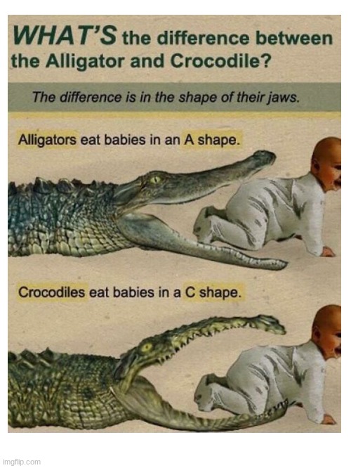 image tagged in cursed,crocodile,and,alligator,eating,babies | made w/ Imgflip meme maker