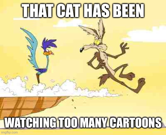 Wile E. Coyote roadrunner | THAT CAT HAS BEEN WATCHING TOO MANY CARTOONS | image tagged in wile e coyote roadrunner | made w/ Imgflip meme maker