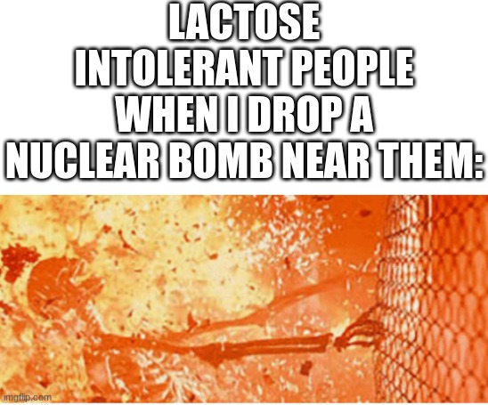 I'm not wrong | LACTOSE INTOLERANT PEOPLE WHEN I DROP A NUCLEAR BOMB NEAR THEM: | image tagged in blank white template,skeleton on fire,lactose intolerant,funny,memes,funny memes | made w/ Imgflip meme maker