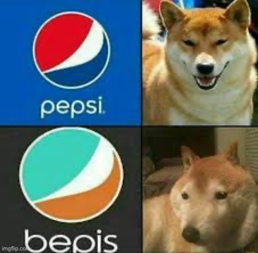 Dog | image tagged in dog | made w/ Imgflip meme maker